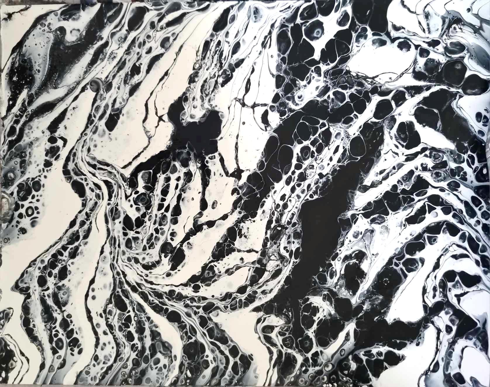 Flowing black and white channels form branching, web-like cells across a pale ground.