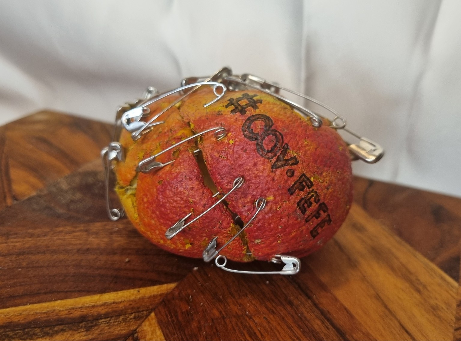 An orange-red rounded object with dark lettering is divided by openings crossed by numerous silver safety pins.